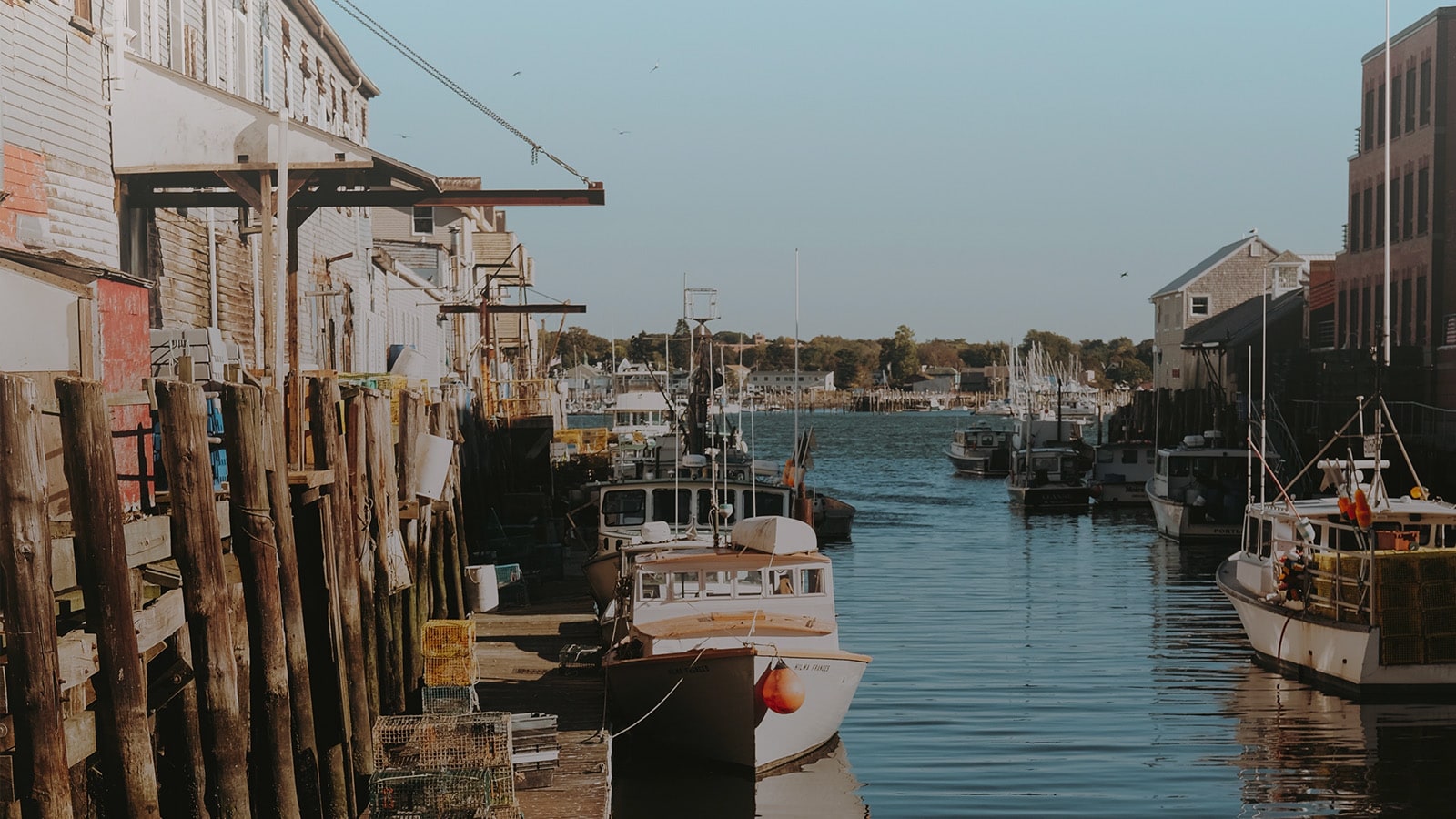 portland lobster boats between buildings in water